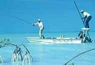 Casting to a bonefish