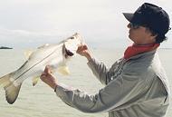Edward. Johnston with a snook