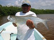 Pesca Maya Fishing Guide