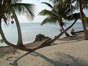 View from Belize River Lodge's Long Caye Outpost