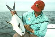 Capt. Johnston with his 56th Ascension Bay permit 