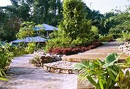 Scenic Garden at Machaca Hill Lodge