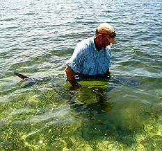 Andy releases the tarpon