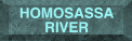 Homosassa River: Leisure Time Travel Inc