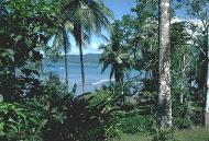 A view of Drake Bay from Aguila de Osa Inn