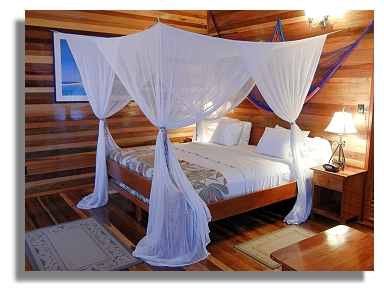 Turneffe Island Lodge typical room