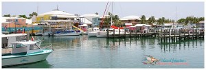H2O Bonefishing : Port Lucaya Marina