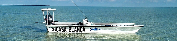 Casa Blanca Lodge: Yucatan Mexico : Lesiure Time Travel, Inc., Ascension Bay fishing